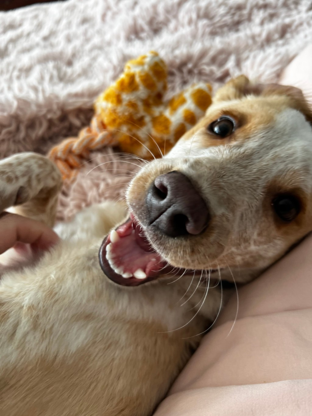 ‘Coco No Chewing’: A story for every kid who ever felt a little&nbsp;different